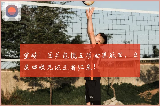 重磅!国乒包揽五项世界冠军,年度回顾见证王者归来!