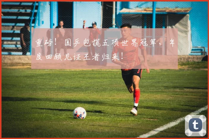重磅！国乒包揽五项世界冠军，年度回顾见证王者归来！