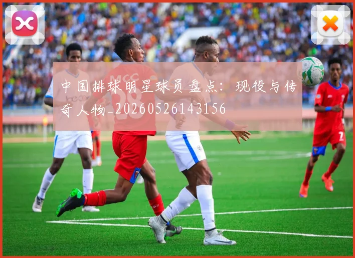 中国排球明星球员盘点：现役与传奇人物_20260526143156